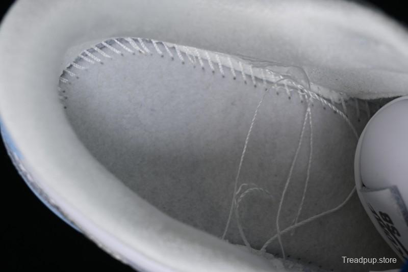 Nike Dunk Low SB Skateboarding Shoes - FD2562-300