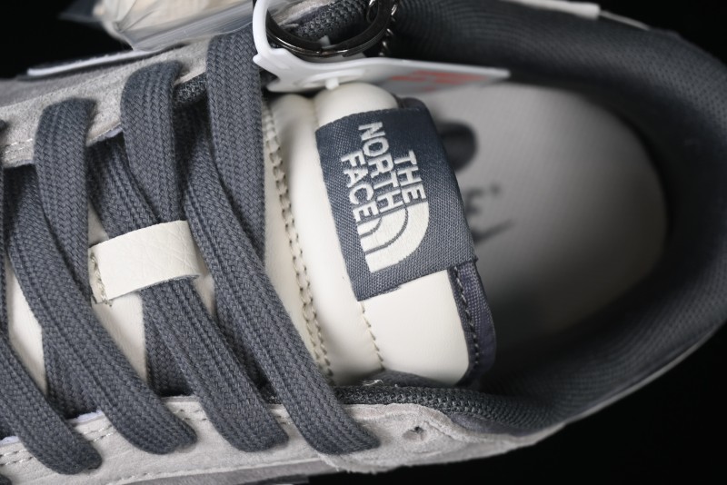 Nike SB Dunk Low The North Face Series - Anniversary Custom Edition Low-Top Casual Skate Shoes - DM6868-004